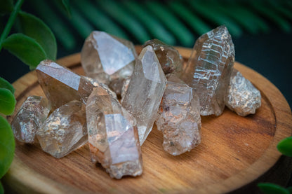 Mini Natural citrine lodolite points