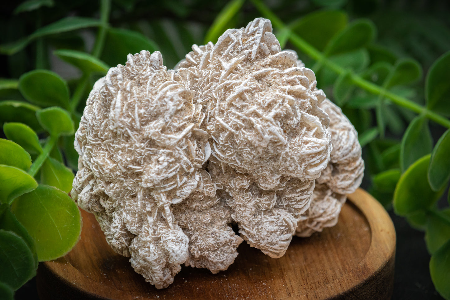 Desert Rose clusters stone