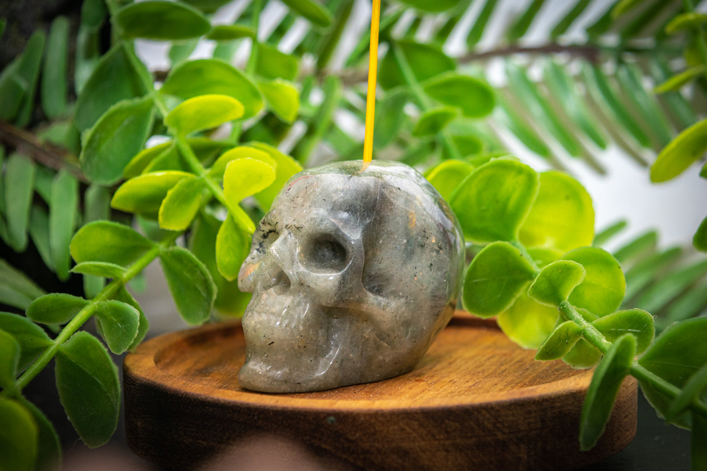 Labradorite skull carving incense holder