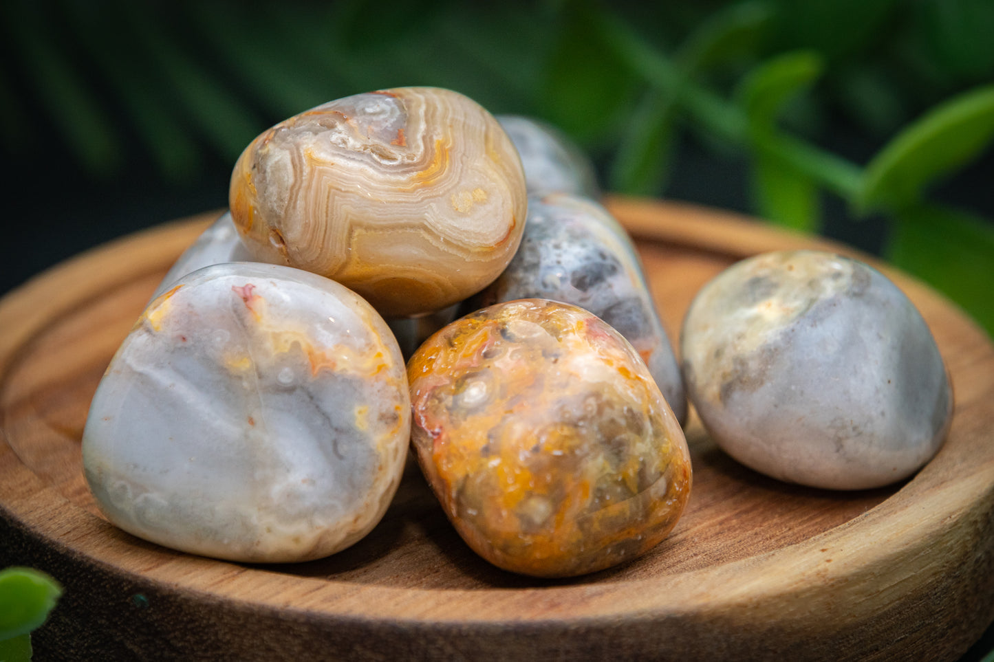 Crazy lace agate tumblestone