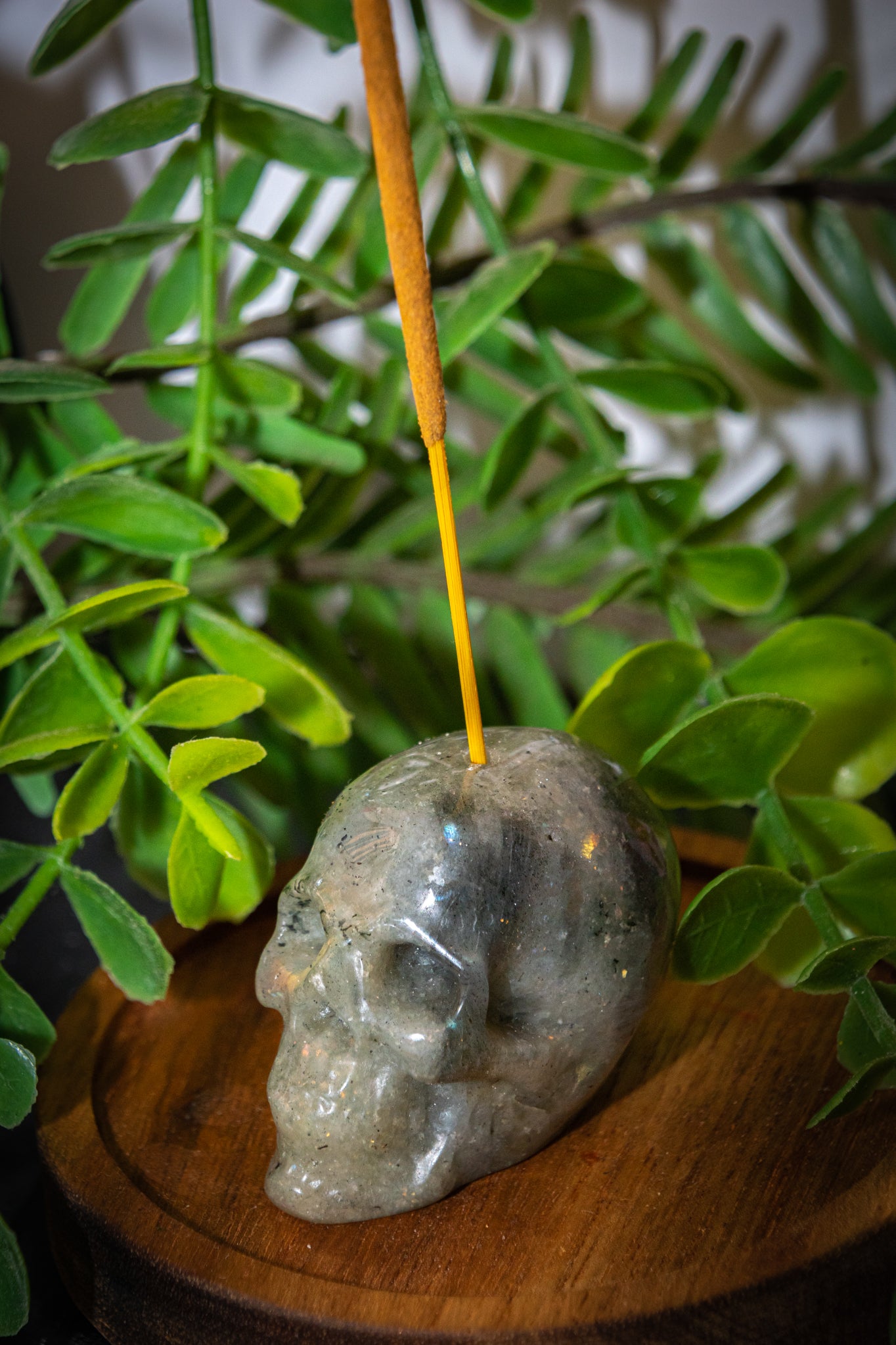 Labradorite skull carving incense holder