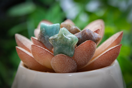 Mini ocean Jasper star carving