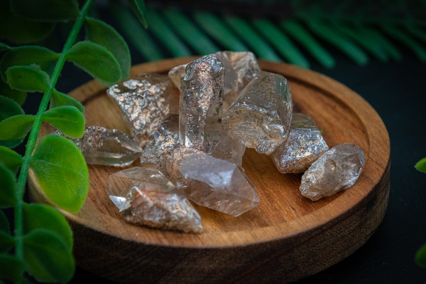 Mini Natural citrine lodolite points