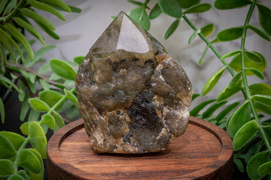 Labradorite generator point