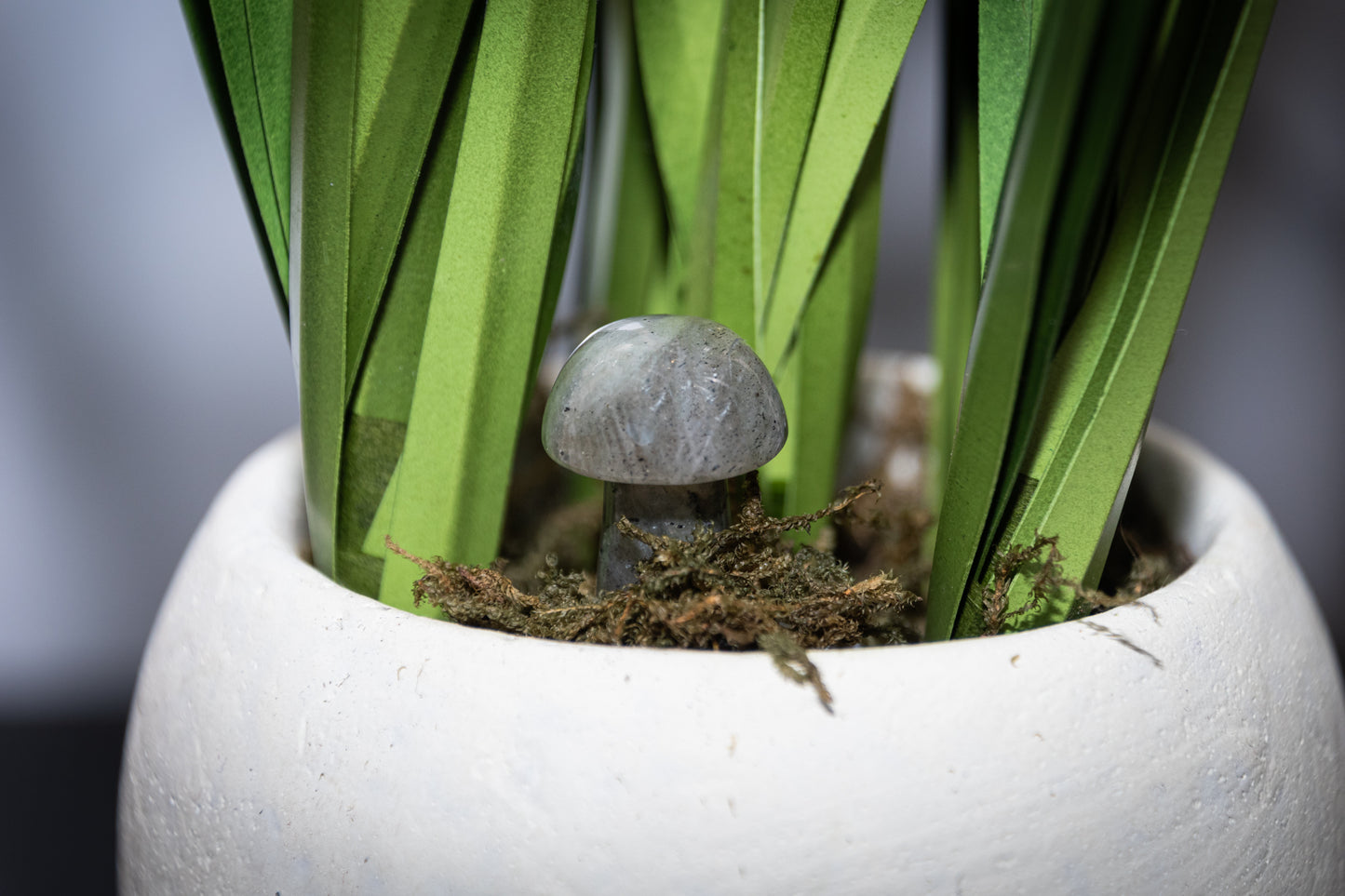 Labradorite mini mushroom carving