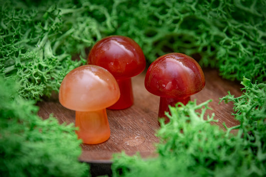 Carnelian mini mushroom carving