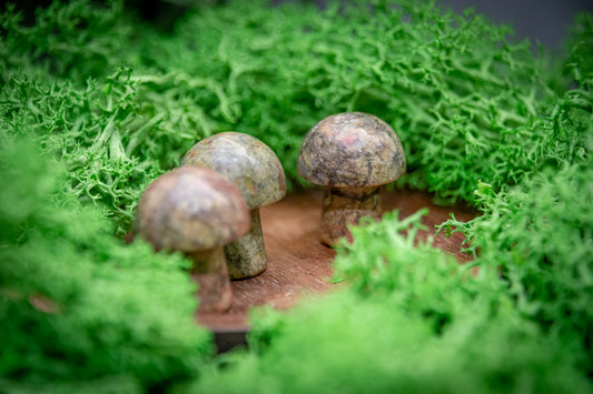 Unakite mini mushroom carving