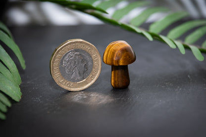 Tigers eye mini mushroom carving