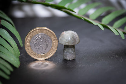 Labradorite mini mushroom carving