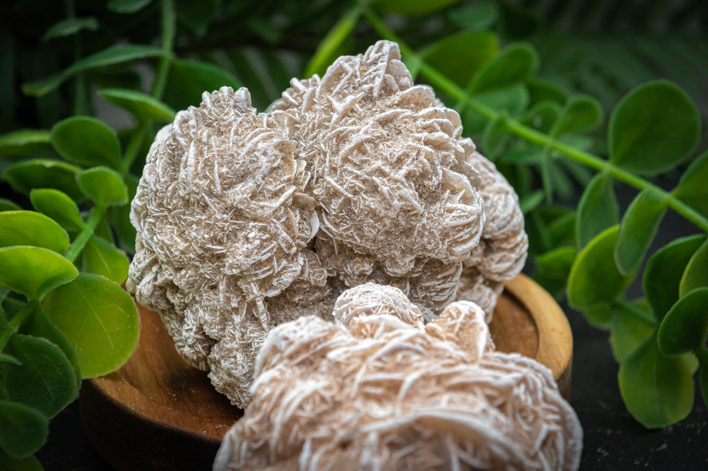 Desert Rose clusters stone